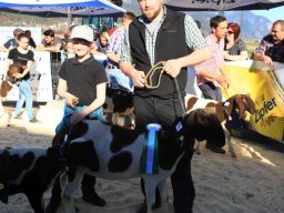 2019_ausstellung polling_746